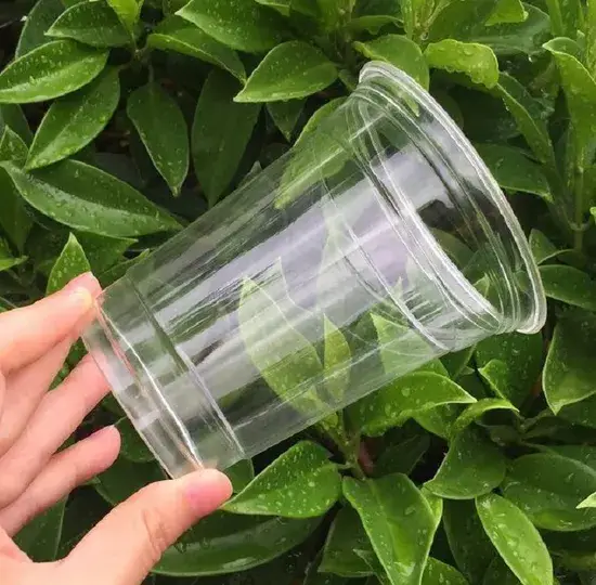 Thưởng Thức Đồ Uống Mát Lạnh Trong 360u Cốc Trà Sữa PLA Thân Thiện Môi Trường hình ảnh 1-description