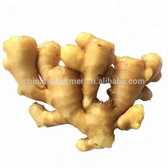 Gừng tươi vàng chất lượng tốt - Mua sỉ gừng mới ở đâu? hình ảnh 1-description