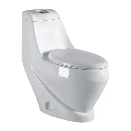 Bồn cầu sứ Chaozhou một khối - Sự lựa chọn tiết kiệm hình ảnh 1-description