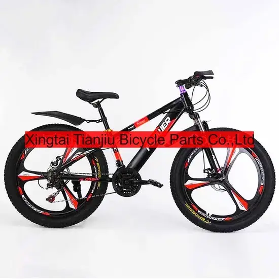 Xe đạp địa hình MTB lớn phanh đĩa 24 inch, phân phối sỉ từ Trung Quốc hình ảnh 1-description