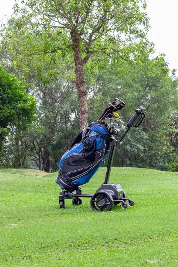 Xe đẩy golf sử dụng pin dung lượng lớn từ hợp kim nhôm hình ảnh 1-description