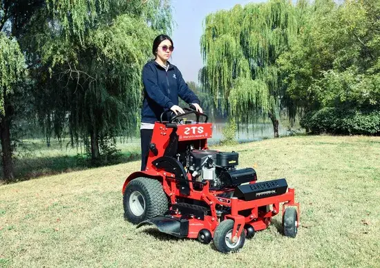 Đề Xuất Sản Phẩm: Máy Cắt Cỏ Đứng Không Quay 50 hình ảnh 1-description