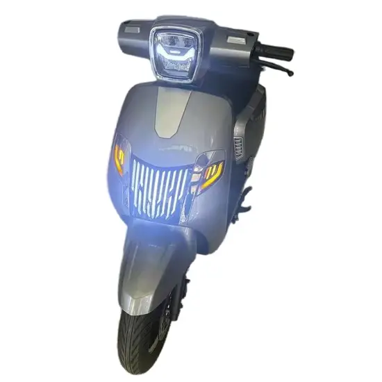 Xe Scooter Điện 1000W, Tầm Xa 48V 60V 72V, Phù Hợp Cho Người Lớn hình ảnh 1-description