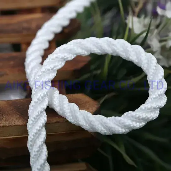 Sản xuất sợi dây bện tùy chỉnh từ Polyester/Polypropylene và sợi thừng ni-lông, phục vụ dây buộc trượt tuyết, neo tàu nhỏ và cách ly hàng rào chắn hình ảnh 1-description