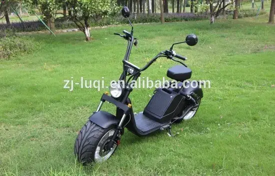 Xe điện đa năng cho người lớn: chở hàng và di chuyển trên mọi địa hình hình ảnh 1-description