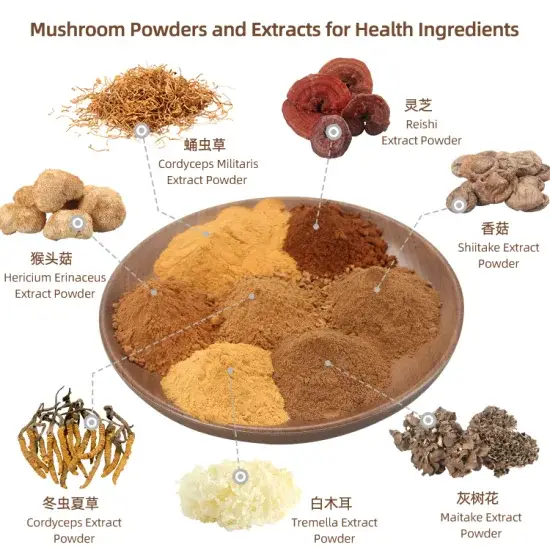 Sản phẩm mới với thành phần tự nhiên từ nấm Lion's Mane, Reishi và Cordyceps Militaris hình ảnh 1-description
