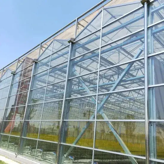 Nhà kính sử dụng kính Venlo với giá phải chăng hình ảnh 1-description