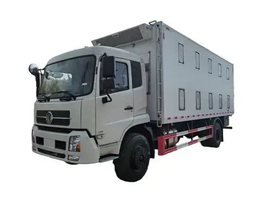 Xe tải cung cấp gà con, vịt con và thùng xe chất lượng cao cho trại ấp ở Campuchia hình ảnh 1-description