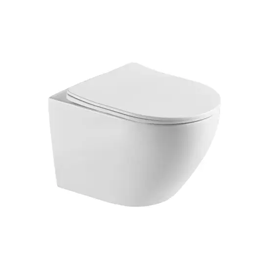 Thiết bị vệ sinh bồn cầu treo tường - Sản phẩm chất lượng cho phòng tắm modern hình ảnh 1-description