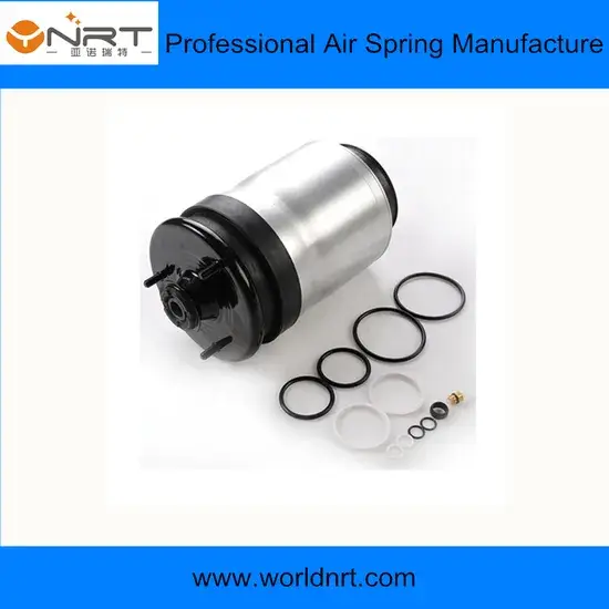 Bộ giảm chấn treo khí Papular Rpd501110 cho Land Rover Range Rover - Phụ tùng ô tô chất lượng hình ảnh 1-description