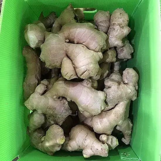 Gừng tươi từ Trung Quốc - Sự lựa chọn hoàn hảo cho khẩu phần ẩm thực của bạn hình ảnh 1-description