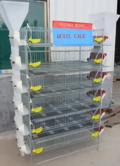 Máy chăn nuôi gà đa tầng bằng thép mạ kẽm và hệ thống tự động cho ăn hình ảnh 1-description