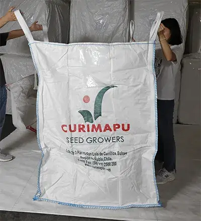 Bán buôn bao Jumbo FIBC woven polypropylene lớn 1000kg 1500kg cho đóng gói hàng hóa trong ngành hóa chất và nông nghiệp hình ảnh 1-description