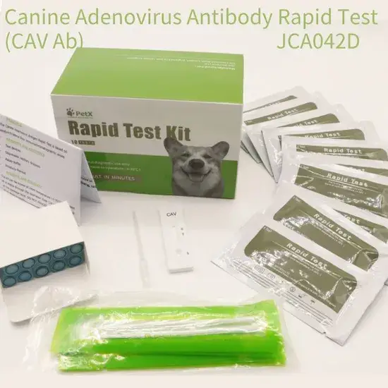 Xét nghiệm kháng thể Adenovirus cho thú cưng của bạn với phương pháp nhanh hình ảnh 1-description