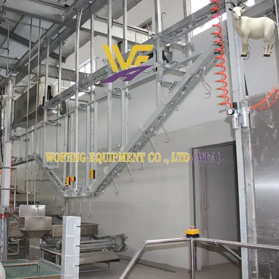Máy chế biến carcass tùy chỉnh cho lò mổ dê cừu chuyên nghiệp - xử lý 100~200 đầu cừu mỗi ngày hình ảnh 1-description