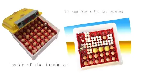 Máy ấp trứng tự động cho gia cầm CE Marke: 36 sản phẩm nhỏ phù hợp hình ảnh 1-description