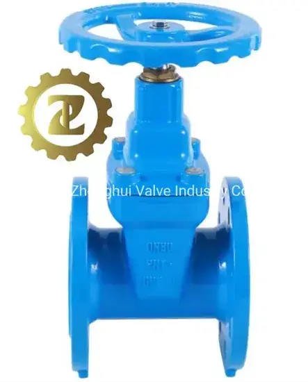 Van cổng chịu lực từ thép đúc, không bị trục, tích hợp đệm đàn hồi hình ảnh 1-description