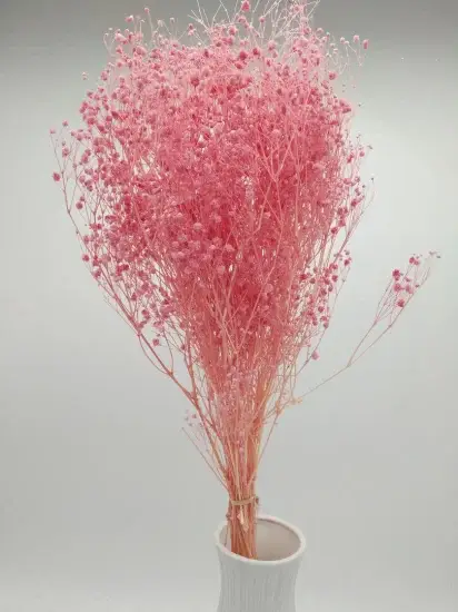 Gypsophila màu hồng chất lượng cao để trang trí hoa hình ảnh 1-description