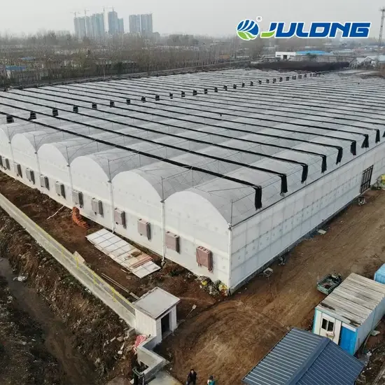 Nâng cao năng suất trồng trọt với nhà kính nhựa polycarbonate kiểu vòm đa chiều tùy chỉnh hình ảnh 1-description