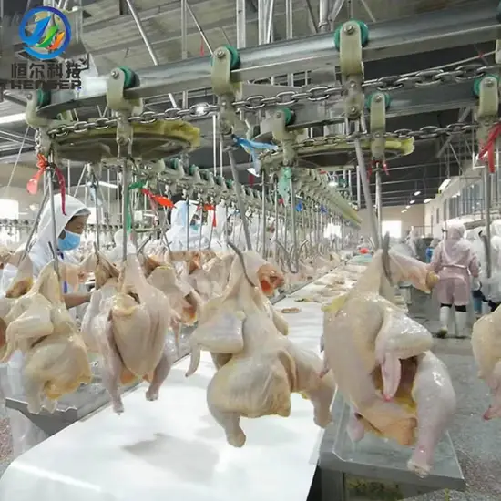 Máy giết mổ gia cầm 300-10000bph với dây chuyền giết mổ gà Halal và 600bph cho chim cút hình ảnh 1-description