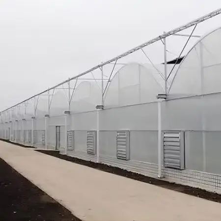 Nhà kính đa span tích hợp hệ thống thủy canh, lò hơi, quạt làm mát và giường ươm cho cây anh đào, dưa chuột, dâu tây hình ảnh 1-description
