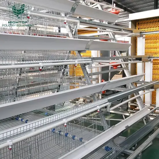 Chuồng gà tự động với thiết kế hiện đại từ thép mạ kẽm, giải pháp chăn nuôi tự động cho người nông dân hình ảnh 1-description