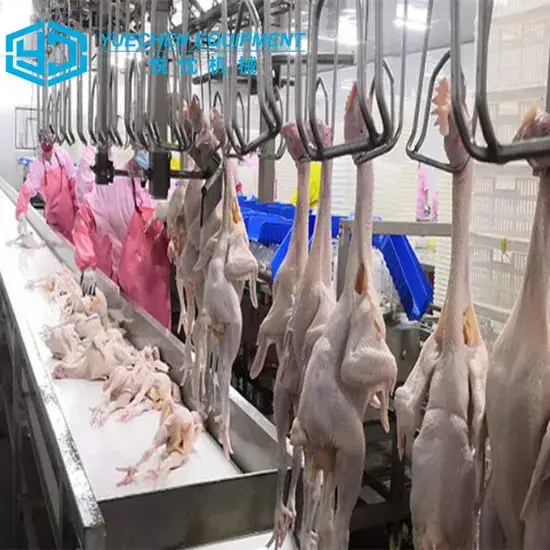 Thiết bị tự động chế biến gia cầm nhỏ gọn phục vụ tại Senegal hình ảnh 1-description