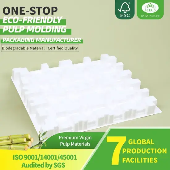 Khay đĩa Kbd-Pulp: Sản phẩm bền vững với lớp bên trong làm từ giấy tái chế hình ảnh 1-description