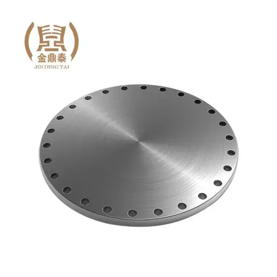 Đĩa bít thép không gỉ áp suất cao cho nồi hơi, bể chứa và cách ly đường ống - Loại 11/12/13 DIN En10222-5 1.4301 1.4307 En1092-1 hình ảnh 1-description