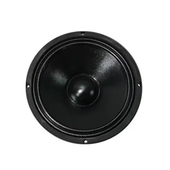 Loa Siêu Trầm Dải Neodymium 10 Inch - Sự Lựa Chọn Hoàn Hảo Cho Âm Thanh Hoàn Hảo hình ảnh 1-description