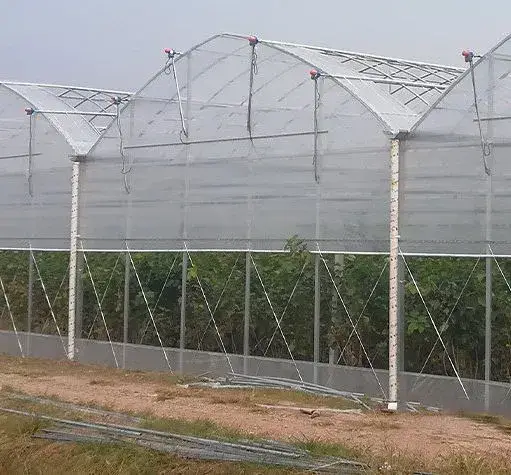 Nhà kính thép mạ kẽm một nhịp dành cho trồng rau hữu cơ và thảo mộc hình ảnh 1-description