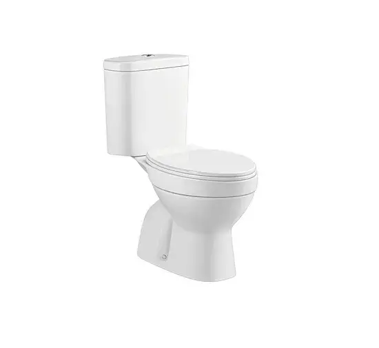 Bồn cầu vệ sinh hai khối phổ biến tại châu Phi, bồn cầu đa dạng, bồn cầu vệ sinh dạng S-Trap, bồn cầu tiện lợi hình ảnh 1-description