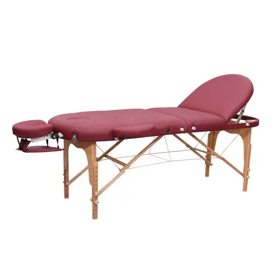 Giường massage gập dành cho salon làm đẹp và spa, đi kèm túi đựng tiện lợi từ nhà cung cấp uy tín hình ảnh 1-description