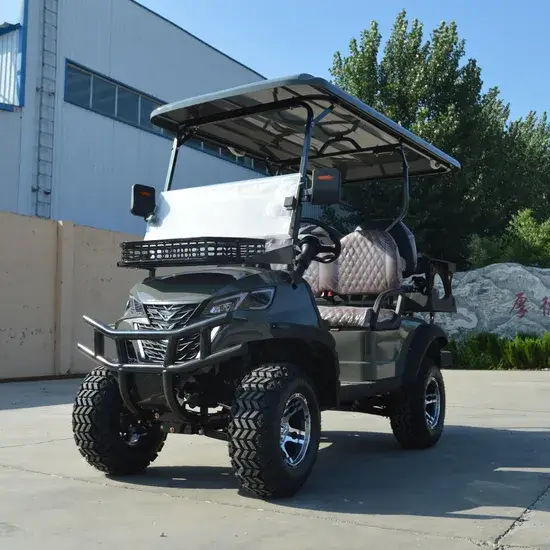 Chương trình giao hàng miễn phí: Xe golf nâng 4 chỗ, phục vụ chuyên chở và off-road hình ảnh 1-description
