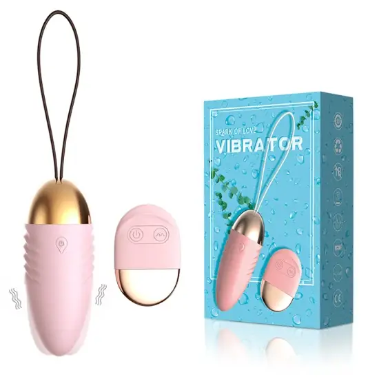 Thiết Bị Điều Khiển Từ Xa Không Dây Với 10 Tốc Độ Trứng Rung Đa Dạng hình ảnh 1-description