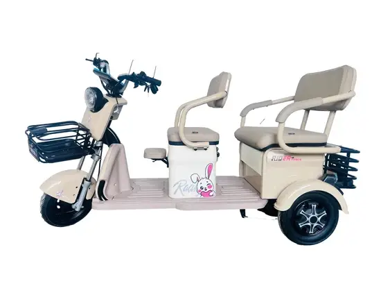Xe ba bánh đô thị sinh thái: Giải pháp vận chuyển sạch cho cộng đồng hình ảnh 1-description