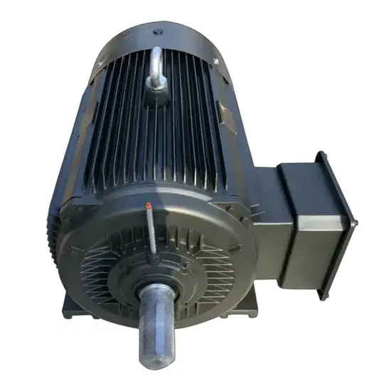 Động cơ điện xoay chiều ba pha dòng Ye với vỏ gang chất lượng cao hình ảnh 1-description