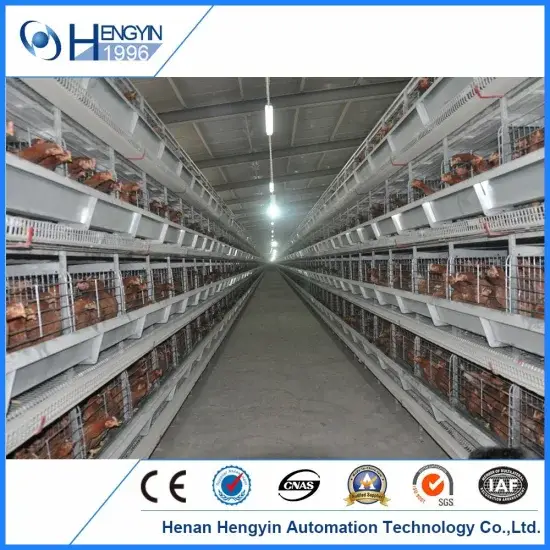 Chuồng chăn nuôi gà được phủ mạ kẽm kết hợp với hệ thống tự động cho ăn hình ảnh 1-description