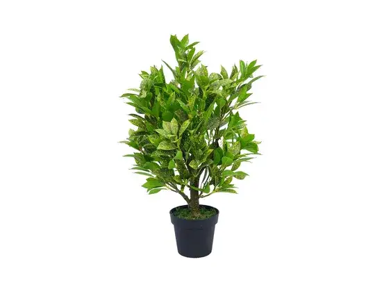 Cây bonsai giả Songtao sử dụng để trang trí nội thất trong nhà, phân phối sỉ hình ảnh 1-description