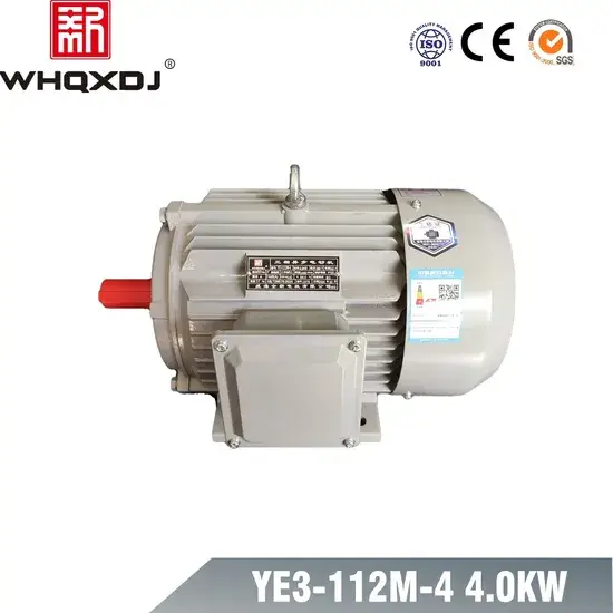 Động cơ cảm ứng ba pha hiệu suất cao 4kw 380V: Sản phẩm chất lượng từ nhà cung cấp uy tín hình ảnh 1-description
