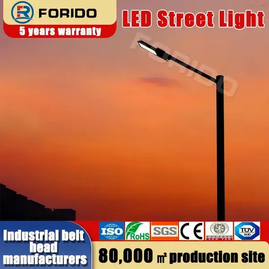 Đèn đường LED chất lượng cao phù hợp sử dụng ngoài trời tại khu vực quảng trường hình ảnh 1-description