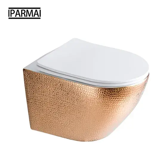 Bồn cầu treo tường châu Âu với thiết kế sang trọng và độc đáo hình ảnh 1-description