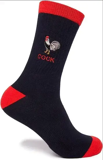Vớ thể thao cotton unisex spandex bán buôn với logo jacquard tùy chỉnh cho cả người lớn và trẻ em hình ảnh 1-description