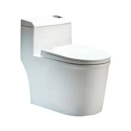 Bồn cầu đứng sứ lớn - Giải pháp tiện dụng cho phòng tắm hiện đại hình ảnh 1-description