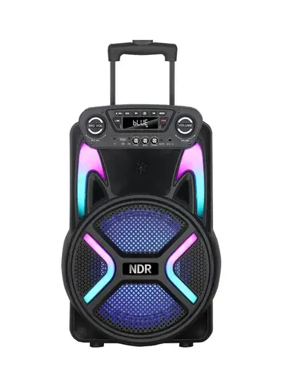 Loa đơn 12-Inch Ndr-122 với tích hợp pin hình ảnh 1-description