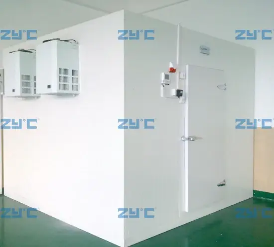 Lựa chọn thiết bị bảo quản thực phẩm lạnh chuyên dụng cho ngành thực phẩm đông lạnh hình ảnh 1-description