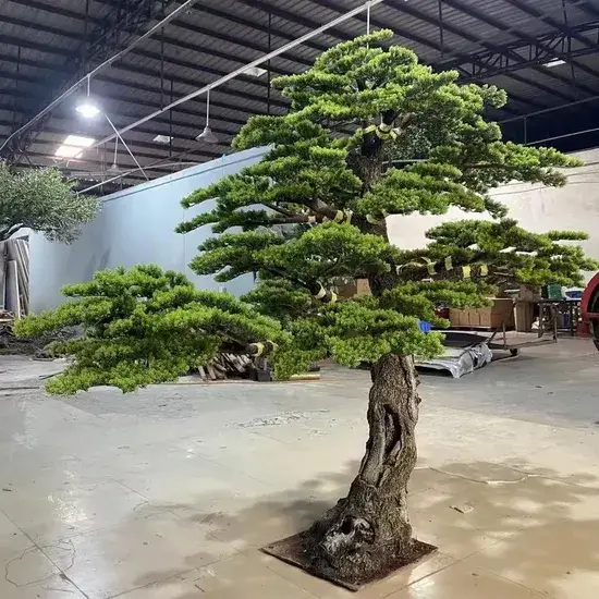 Chậu trồng cây thông bonsai giả nhựa mô phỏng cho trang trí bàn trong nhà hình ảnh 1-description