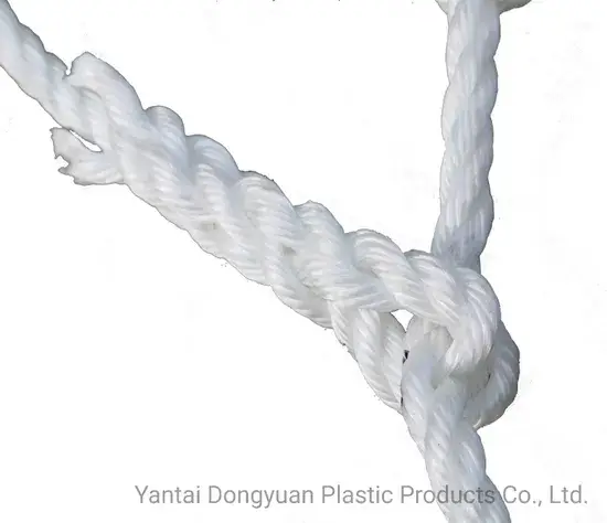 Giải pháp PP PE Web giúp việc di chuyển và vận chuyển hàng hóa dễ dàng hơn hình ảnh 1-description