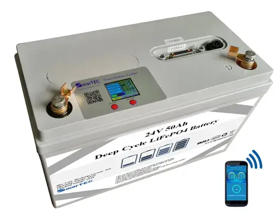 Tiêu đề mới: Nâng cấp ắc quy Lithium Ion 24V 50ah LiFePO4 cho xe đạp điện hình ảnh 1-description