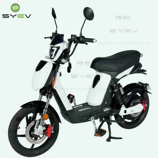 Xe Scooter Điện Vàng Rùa EEC CE 800W - Sự Lựa Chọn Hoàn Hảo Cho Người Yêu Xe Máy Điện hình ảnh 1-description